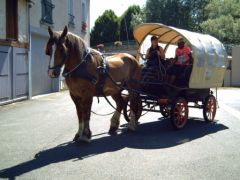 PICT0028.JPG